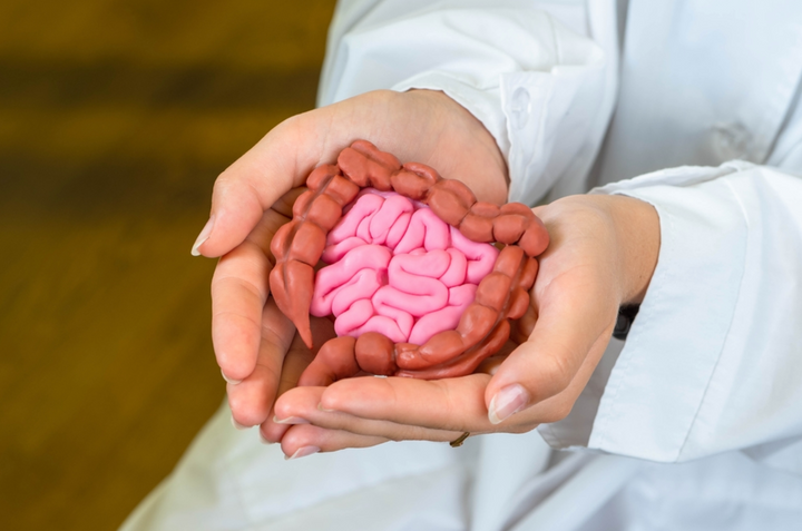 Can good gut health help us to manage our weight?