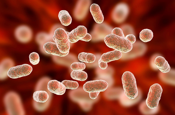 10 Reasons Why Women Need to Prioritise Gut Health