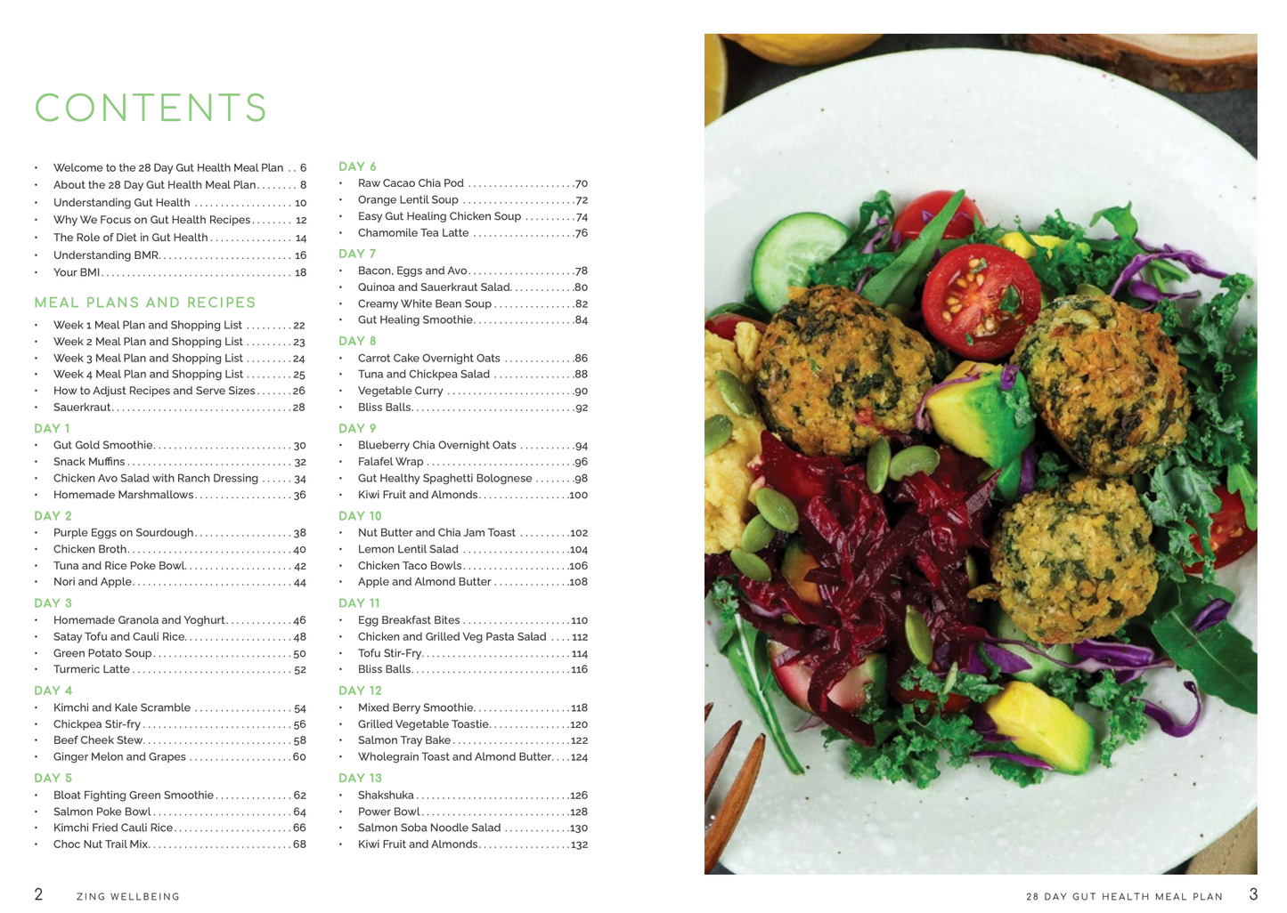 28 Day Gut Health Meal Plan Book - 256 page hard copy book