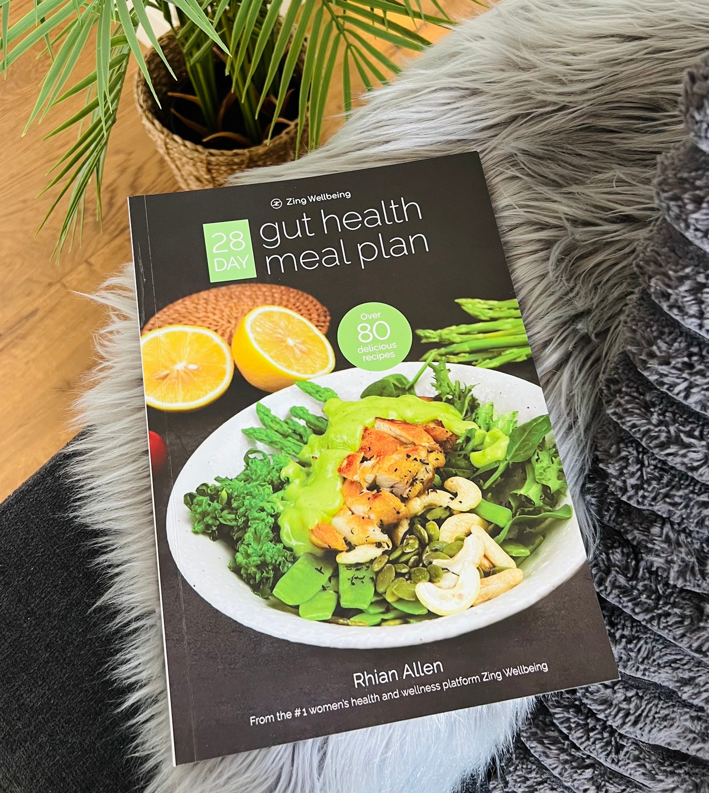 28 Day Gut Health Meal Plan Book - 256 page hard copy book