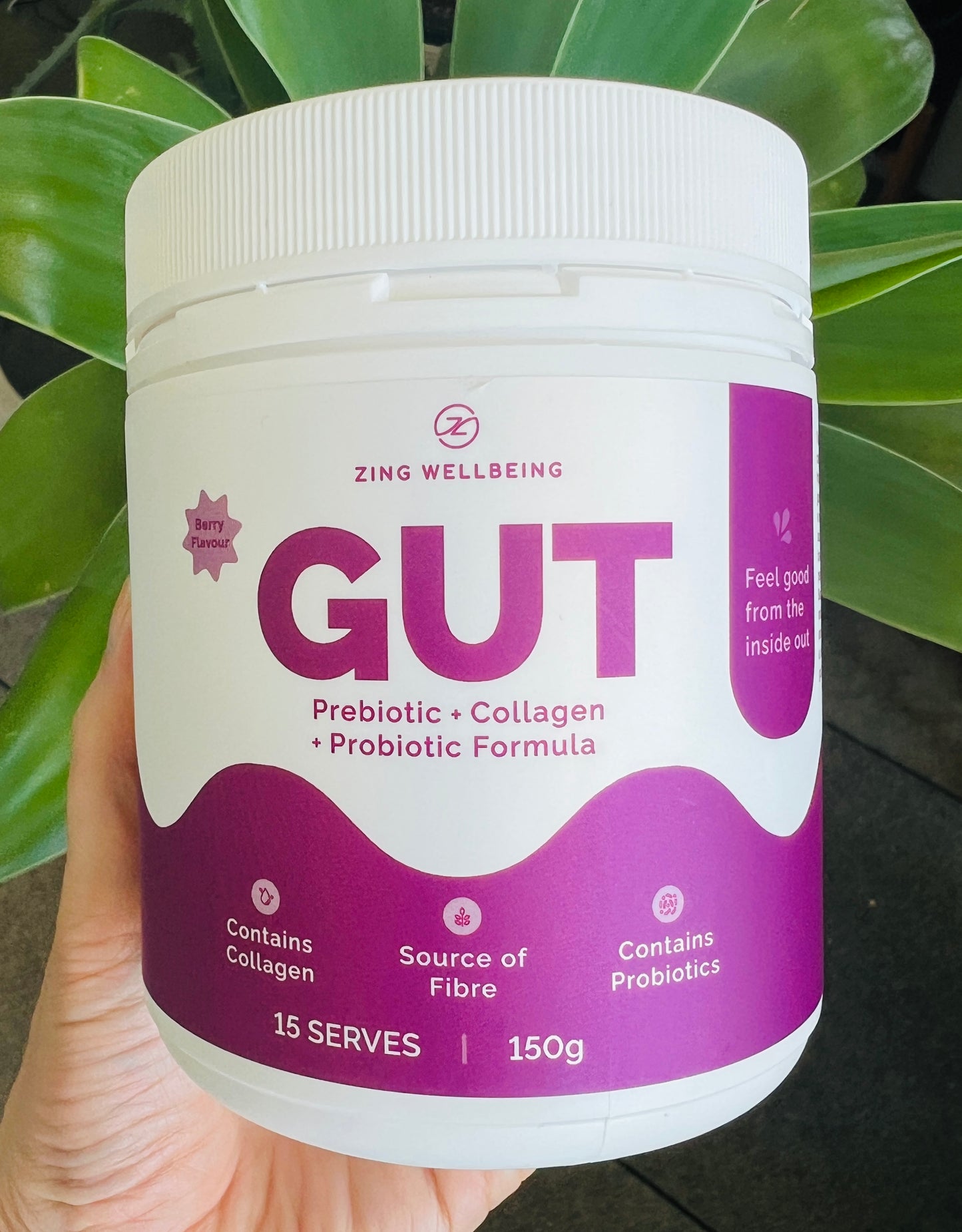 NEW! Zing Wellbeing GUT Powder - Prebiotic + Collagen + Probiotic Formula