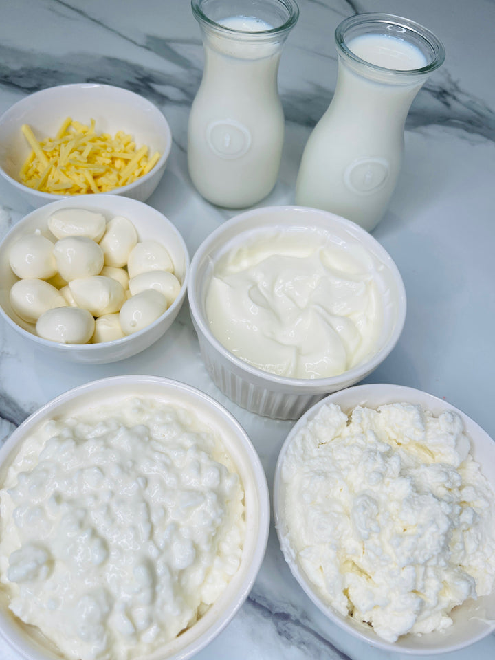 Dairy and bone health: why women over 50 need to pay attention to calcium