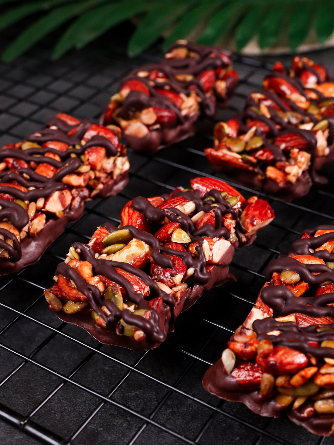Nut Bars with Chocolate Drizzle