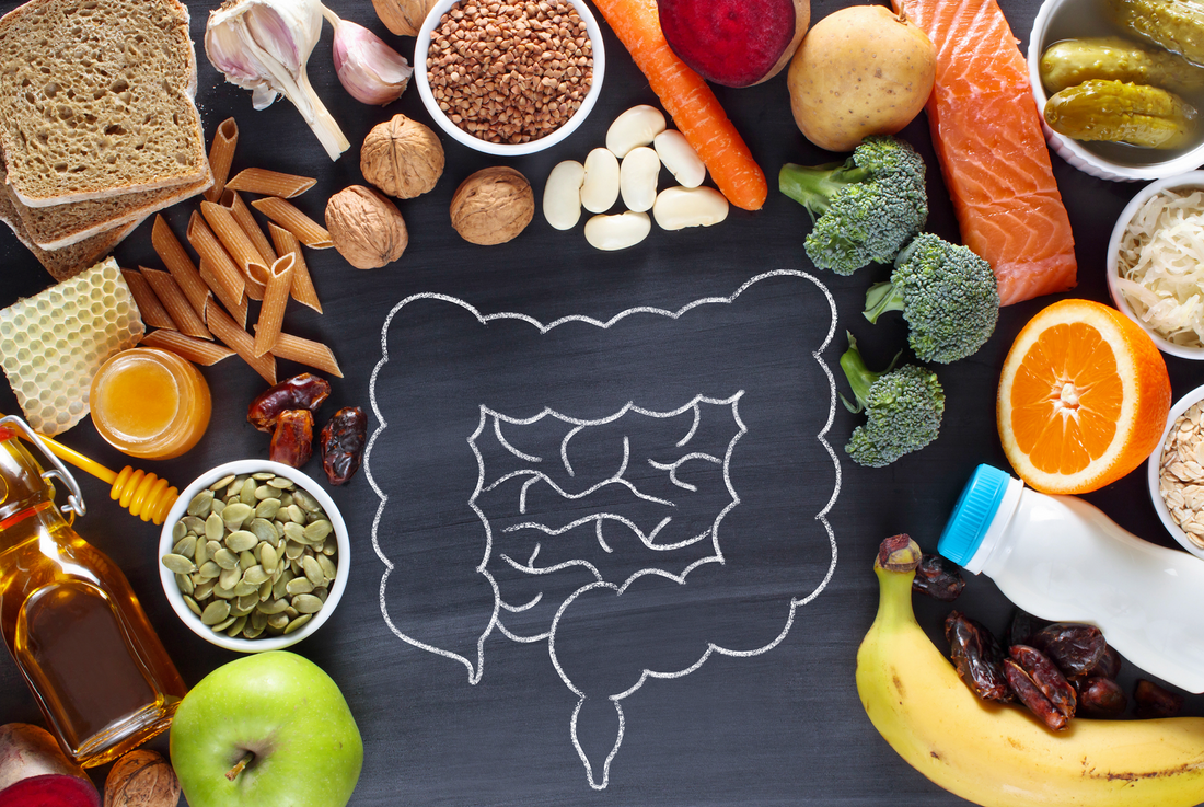 Gut health and the importance of it