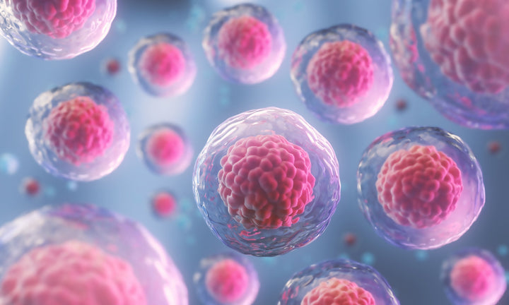 The surprising factor weakening your immune system (and it's not your diet)