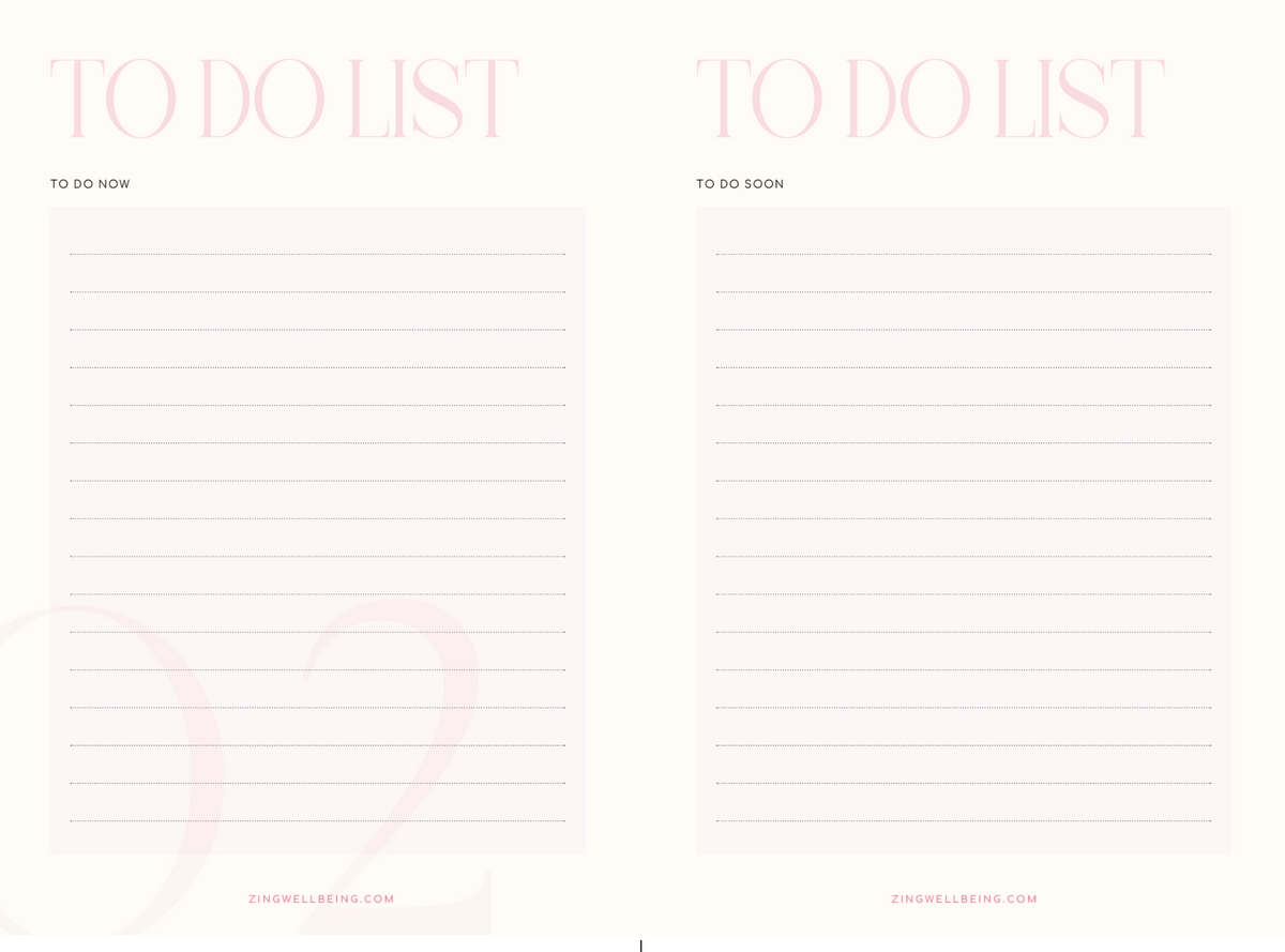 NEW & Pre Order Zing Wellbeing Diary & Planner 2027