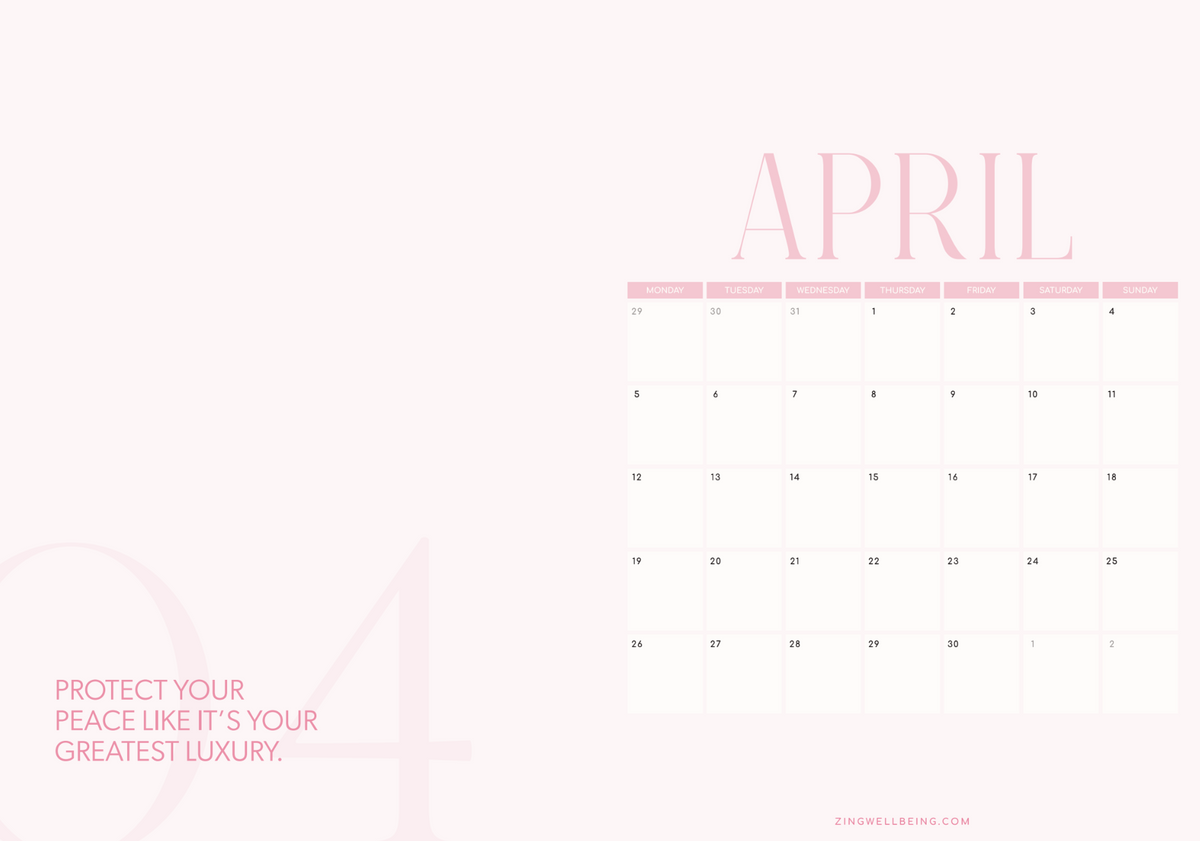 NEW & Pre Order Zing Wellbeing Diary & Planner 2027